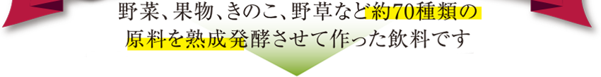 野菜、果物、きのこ、野草など約70種類の原料を熟成発酵させて作った飲料です