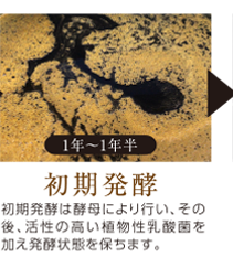 初期発酵:初期発酵は酵母により行い、その後、活性の高い植物性乳酸菌を加え発酵状態を保ちます。