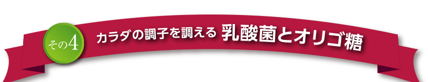 その4 カラダの調子を調える 乳酸菌とオリゴ糖