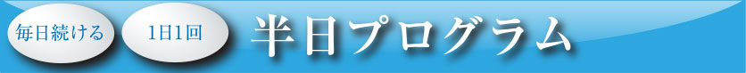 毎日続ける 1日1回半日プログラム